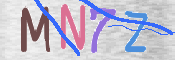 画像に表示された文字を入力して下さい