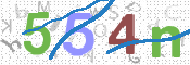 画像に表示された文字を入力して下さい