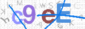 画像に表示された文字を入力して下さい