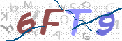 画像に表示された文字を入力して下さい