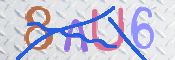 画像に表示された文字を入力して下さい