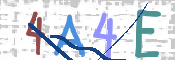 画像に表示された文字を入力して下さい