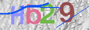 画像に表示された文字を入力して下さい