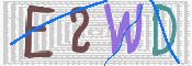 画像に表示された文字を入力して下さい