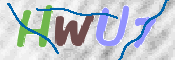 画像に表示された文字を入力して下さい