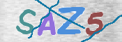 画像に表示された文字を入力して下さい