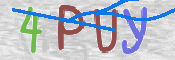 画像に表示された文字を入力して下さい