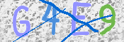 画像に表示された文字を入力して下さい