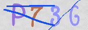 画像に表示された文字を入力して下さい