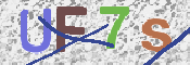 画像に表示された文字を入力して下さい