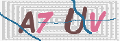 画像に表示された文字を入力して下さい
