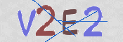 画像に表示された文字を入力して下さい