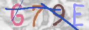 画像に表示された文字を入力して下さい