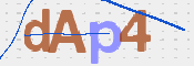 画像に表示された文字を入力して下さい