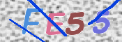 画像に表示された文字を入力して下さい