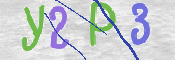 画像に表示された文字を入力して下さい