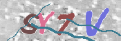 画像に表示された文字を入力して下さい