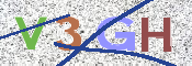 画像に表示された文字を入力して下さい