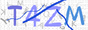 画像に表示された文字を入力して下さい