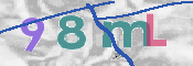 画像に表示された文字を入力して下さい