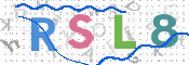 画像に表示された文字を入力して下さい