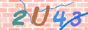 画像に表示された文字を入力して下さい