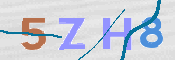 画像に表示された文字を入力して下さい