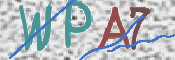 画像に表示された文字を入力して下さい