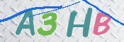 画像に表示された文字を入力して下さい
