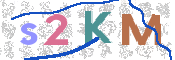 画像に表示された文字を入力して下さい