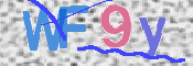 画像に表示された文字を入力して下さい