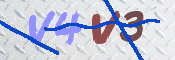 画像に表示された文字を入力して下さい