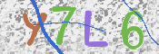 画像に表示された文字を入力して下さい