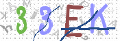 画像に表示された文字を入力して下さい