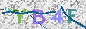 画像に表示された文字を入力して下さい