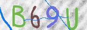 画像に表示された文字を入力して下さい