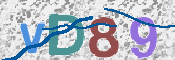 画像に表示された文字を入力して下さい