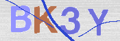 画像に表示された文字を入力して下さい