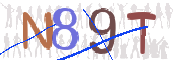 画像に表示された文字を入力して下さい