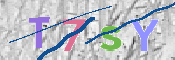 画像に表示された文字を入力して下さい