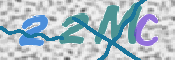 画像に表示された文字を入力して下さい