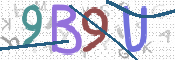 画像に表示された文字を入力して下さい