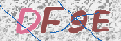 画像に表示された文字を入力して下さい