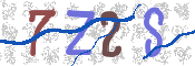 画像に表示された文字を入力して下さい