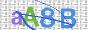 画像に表示された文字を入力して下さい
