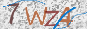 画像に表示された文字を入力して下さい