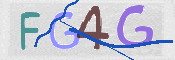 画像に表示された文字を入力して下さい