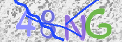 画像に表示された文字を入力して下さい