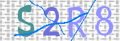 画像に表示された文字を入力して下さい