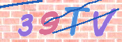 画像に表示された文字を入力して下さい